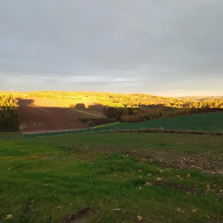 乡村民宿 Nad S-ka Miechów